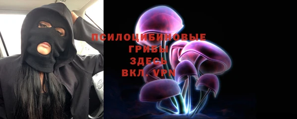 дурь Алексеевка
