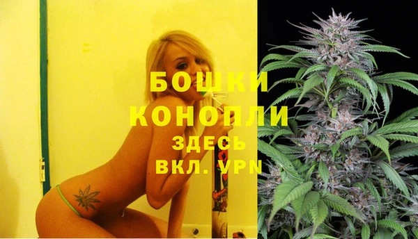 spice Аркадак