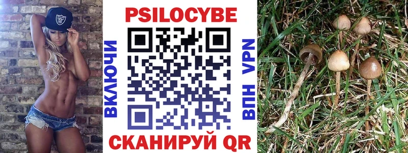 Псилоцибиновые грибы мицелий  купить   Черкесск 