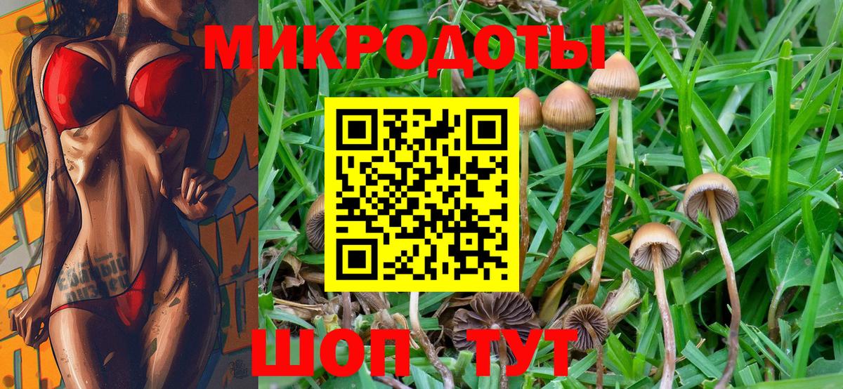 Черкесск  хочу наркоту  Вход с VPN  Псилоцибиновые грибы ЛСД 