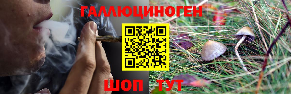 Галлюциногенные грибы прущие грибы Черкесск
